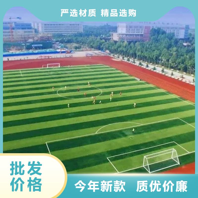 【 塑胶地坪 塑胶跑道售后无忧】-服务区域包括蓝田|高陵|安康|汉中|宝鸡|咸阳|铜川|榆林等-产品视频