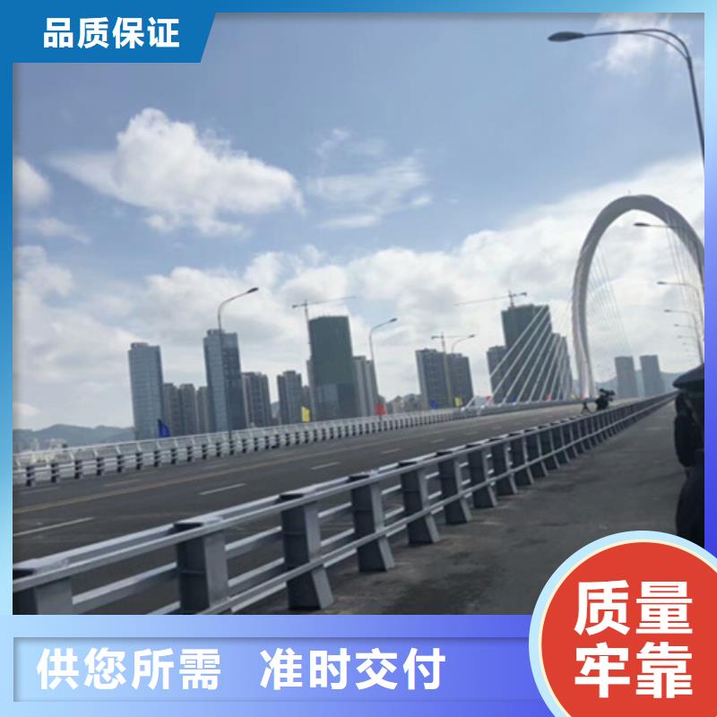 支持拿样桥梁防撞护栏-【桥梁护栏】实体诚信厂家-(神龙)