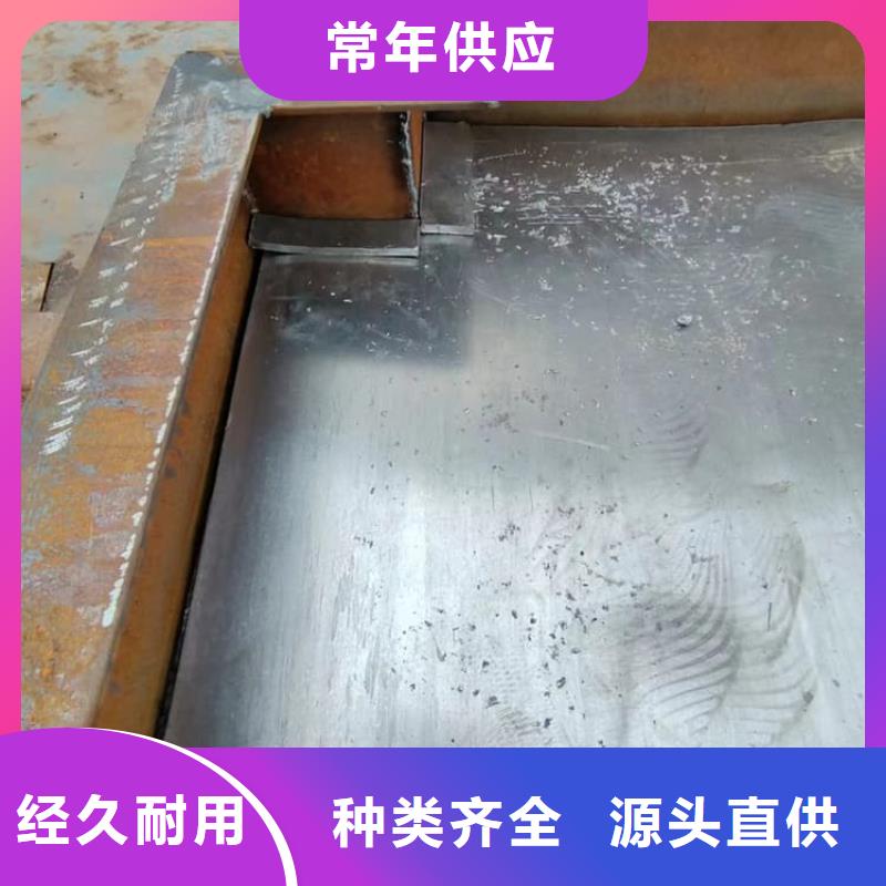 优质的电动铅门-实体厂家可定制
