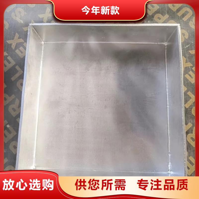 2025型号齐全#不锈钢体铅箱#直接报价