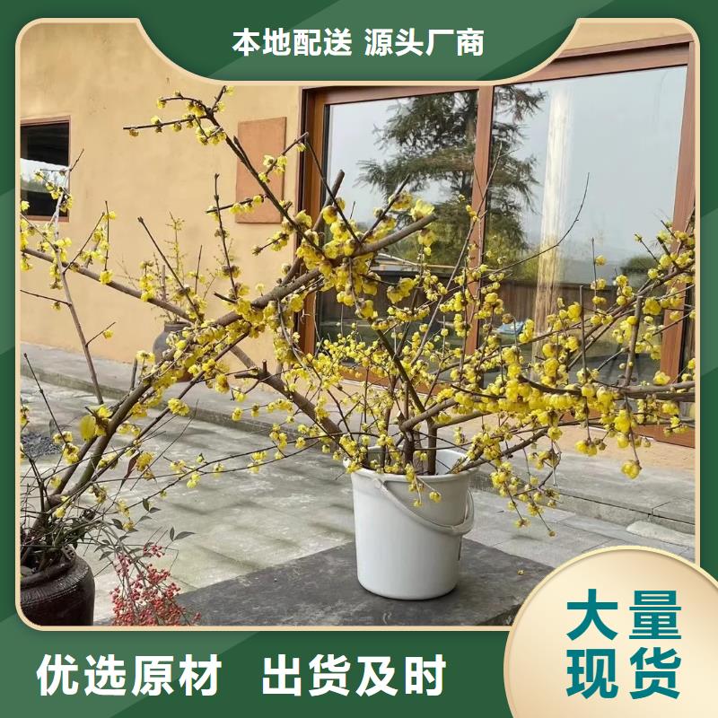 夯土艺术漆价格#泥巴墙漆#老房翻新#民宿改造