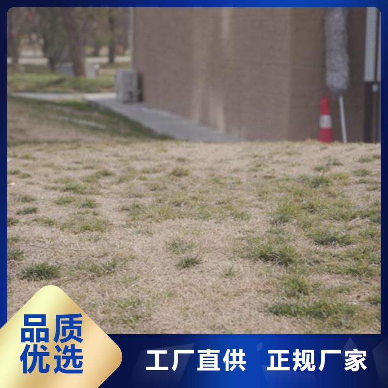 夯土漆-【水泥漆】客户好评