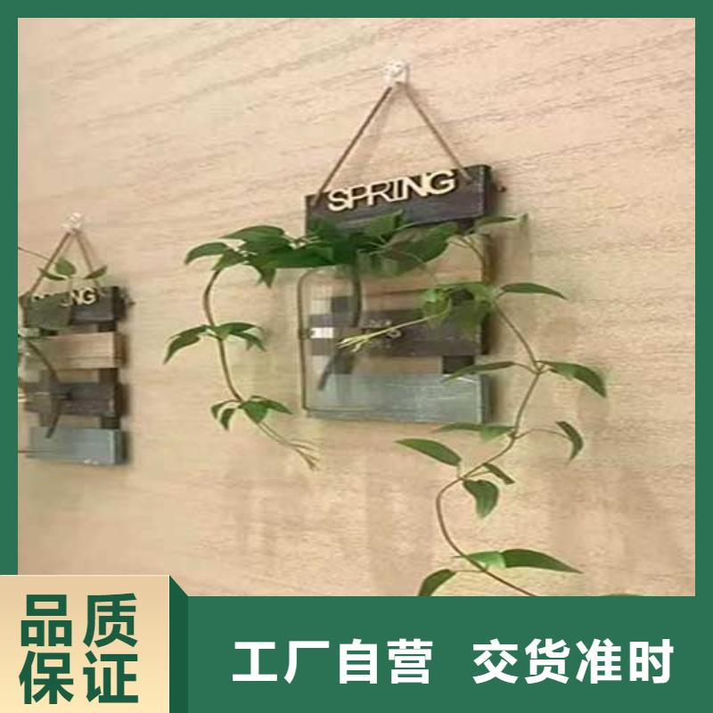 肌理涂料现货价格