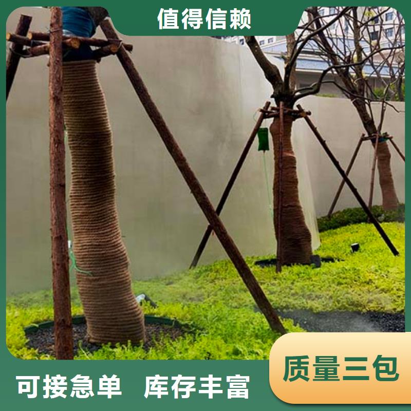 微水泥质感肌理漆诚信为本