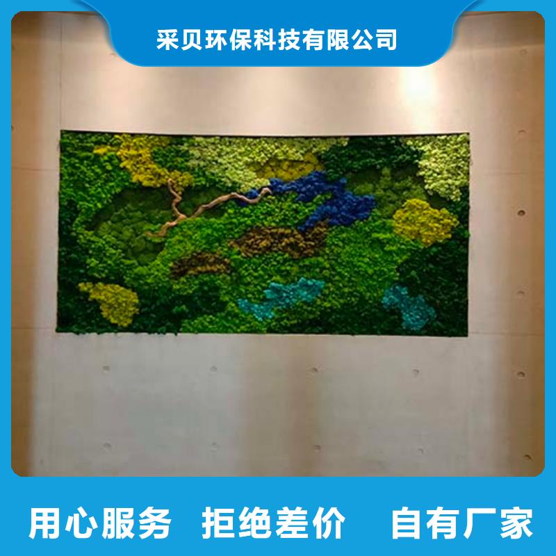 厂家品控严格【水泥漆】-内墙肌理漆实力公司