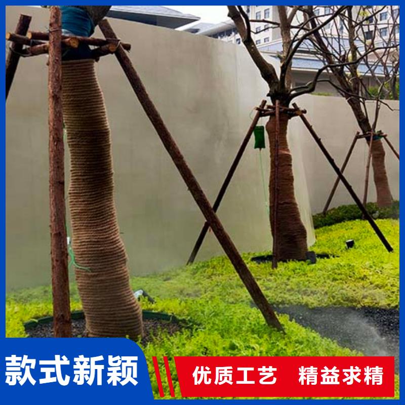 水泥漆本地廠家