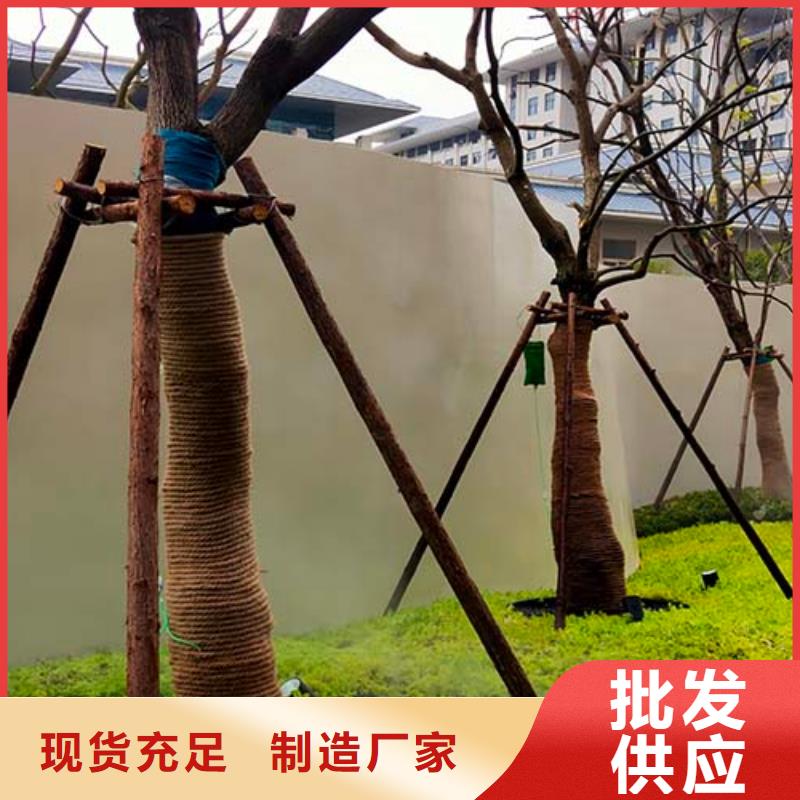 水泥漆-民宿稻草漆老客户钟爱