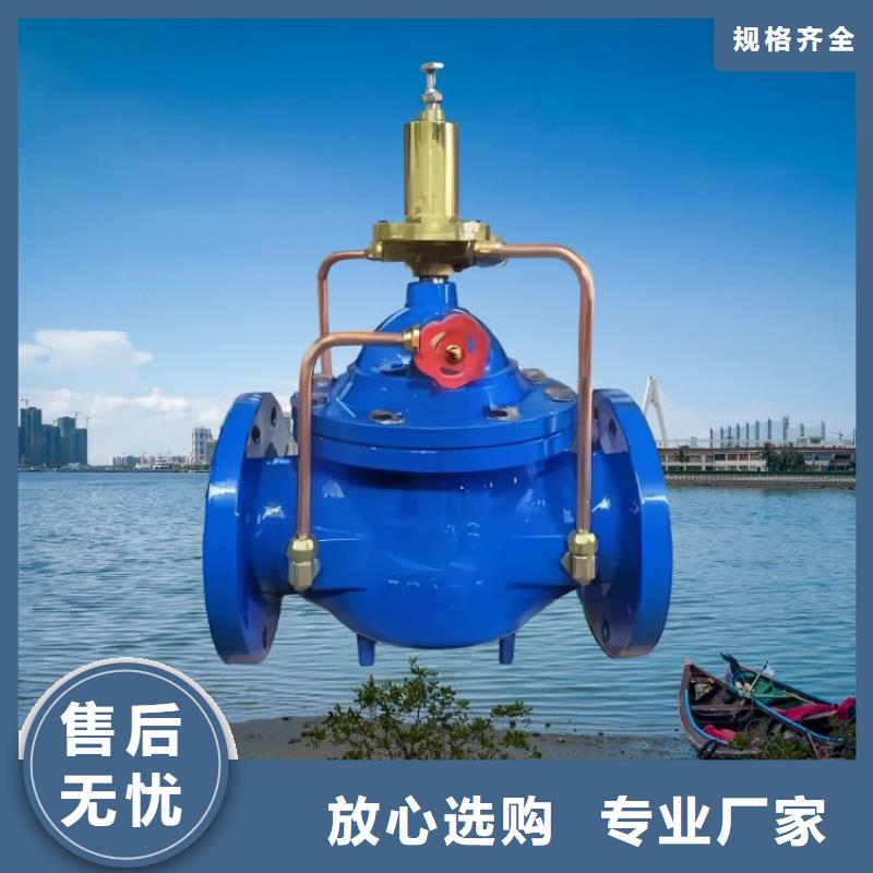 水力控制阀 【立式止回阀】支持定制