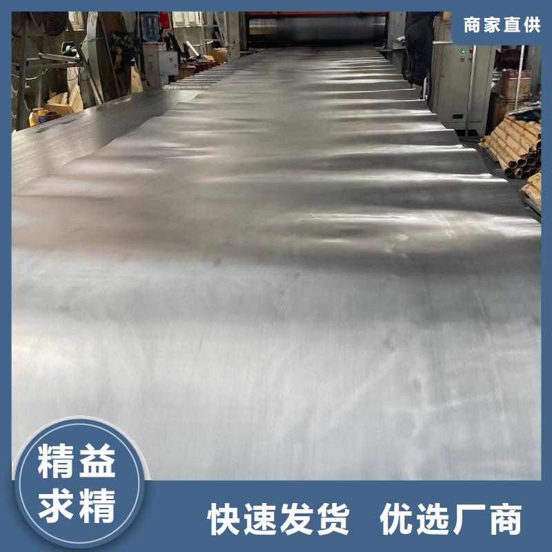 防辐射铅板欢迎电询