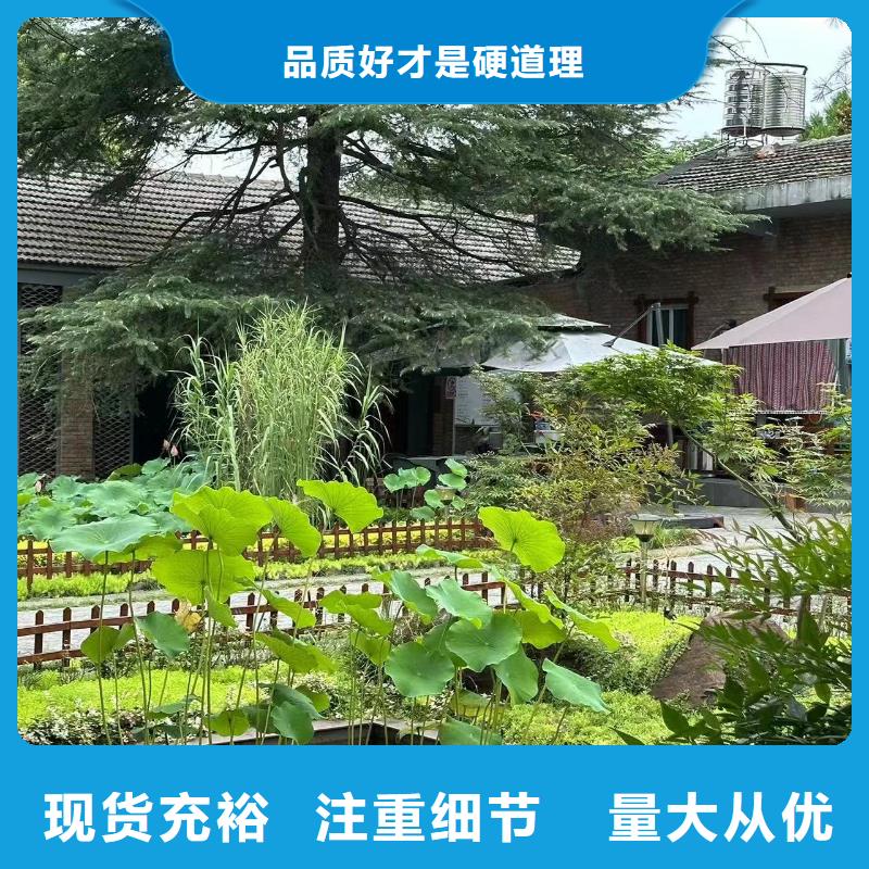 农村自建别墅设计