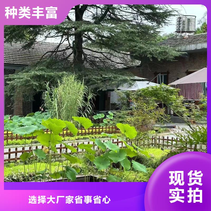 农村一层自建房产品介绍