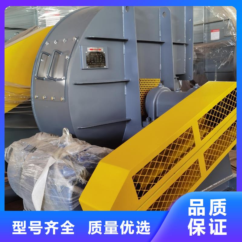 質量優的復合肥專用尾氣風機現貨廠家