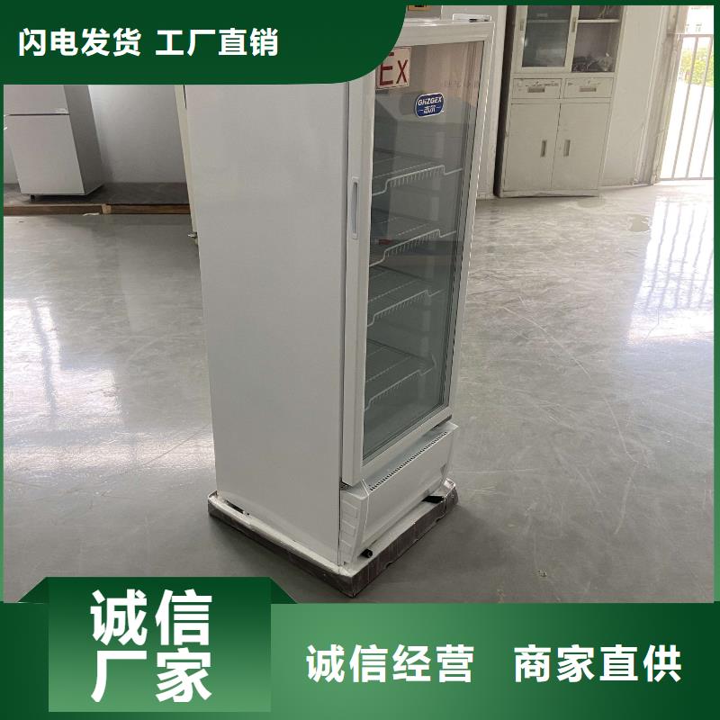 【 防爆冰箱230L无霜风冷展示柜 防爆干燥箱自有厂家】-可发货到韶山|湘乡|株洲|怀化|永州|郴州|娄底
