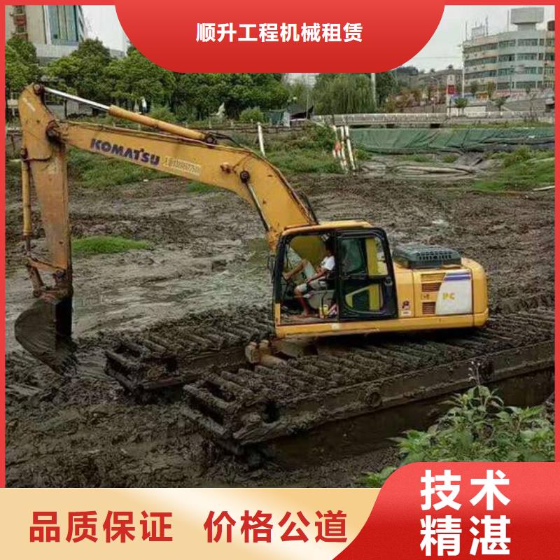 
湿地挖掘机出租查看