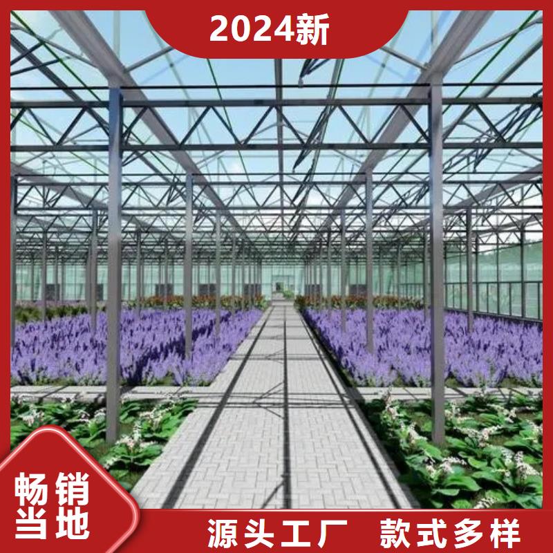 {金荣圣}:工程施工案例蔬菜大棚产地工厂型号齐全-(qy55.com)