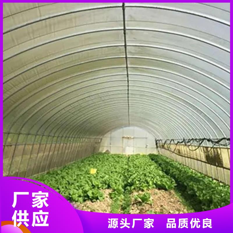 余干县连栋温室智能大棚量大从优2025-8-28