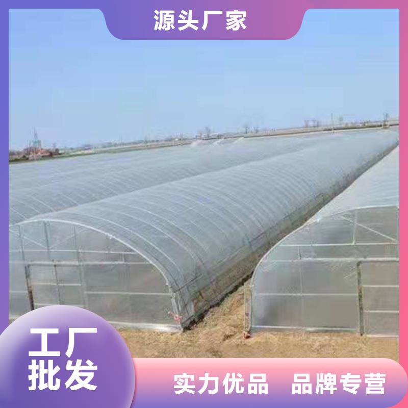 衢州优选蔬菜大棚钢管价格 生产单体 连体