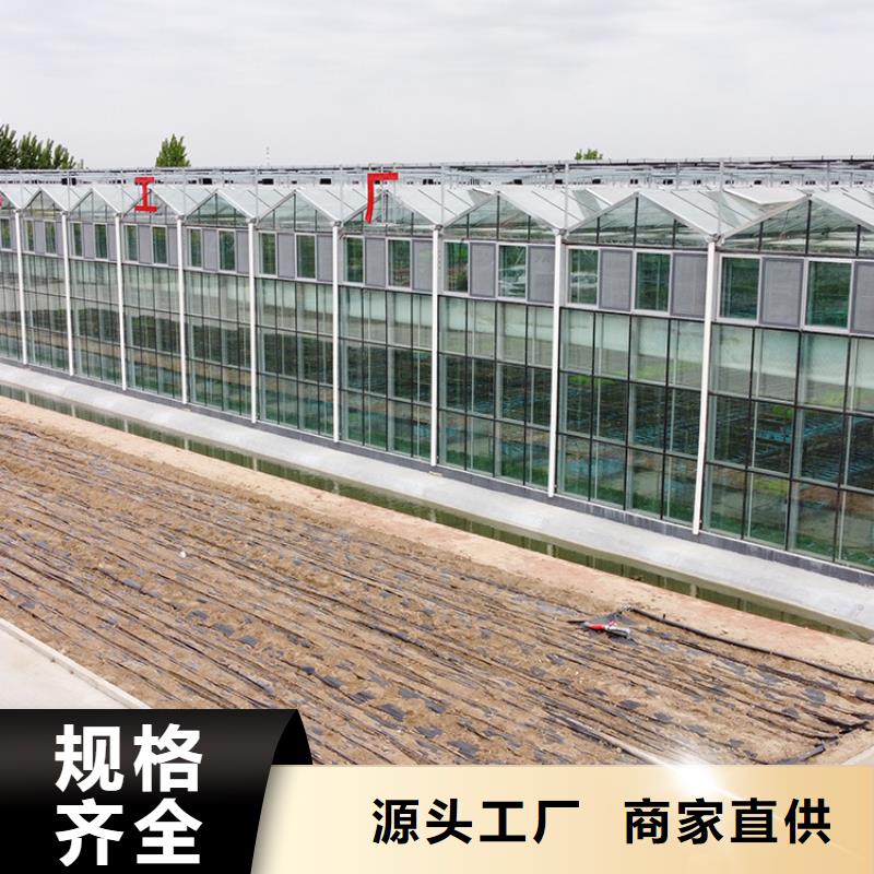广东省深圳市福海街道玻璃温室大棚造价良心厂家