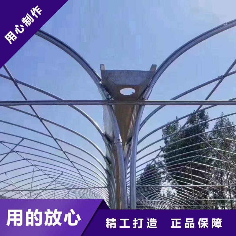 广东省深圳市福海街道玻璃温室大棚造价良心厂家