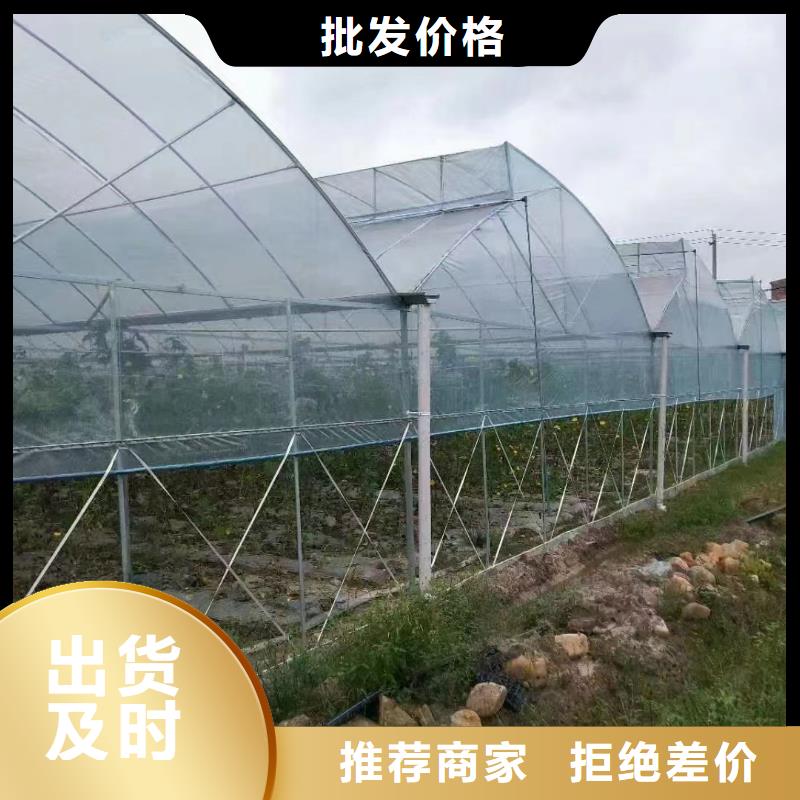 南雄市温室连栋大棚12丝薄膜批发零售