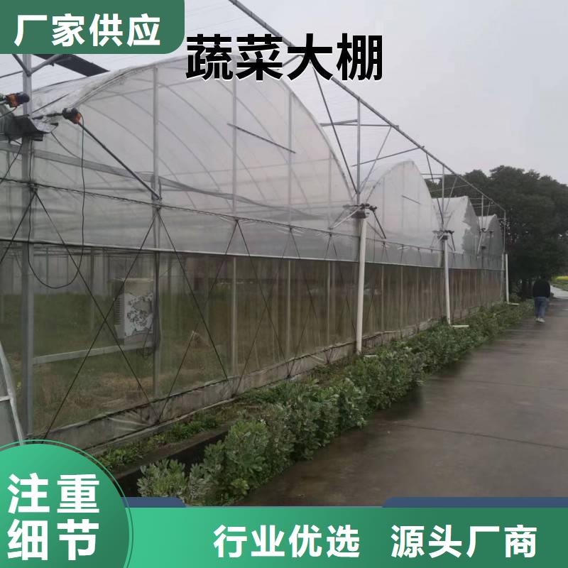 蔬菜大棚钢管实体厂家