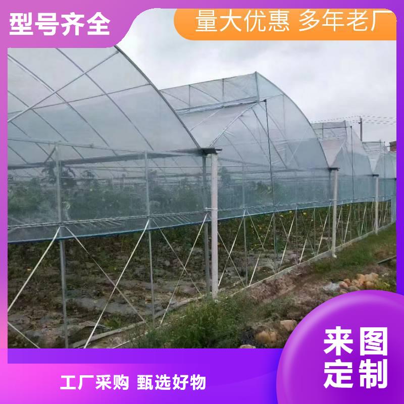 讷河县蔬菜大棚管多少钱一亩诚信厂家