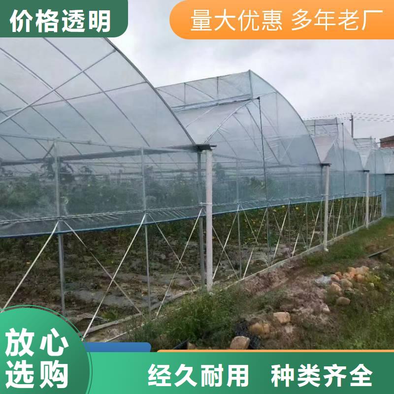 维吾尔自治区蓝莓温室大棚靠谱厂家金荣圣大棚