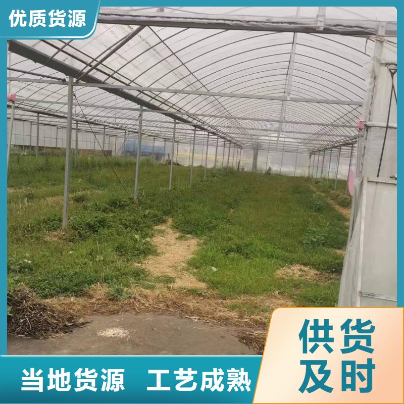 曹妃甸区葡萄连体大棚现货报价