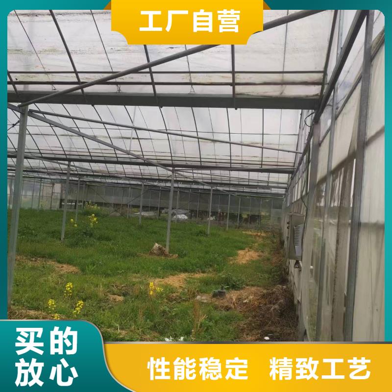 蔬菜大棚管价格公道