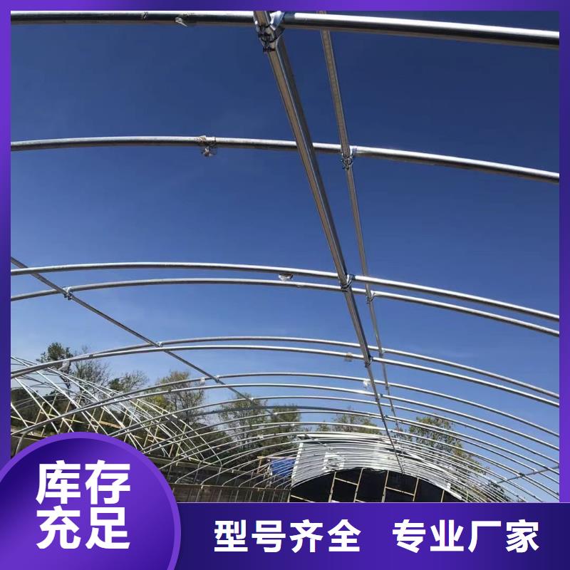 蔬菜大棚,【玻璃温室大棚】用心做好细节