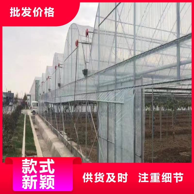 进口PEP利得膜现货供应2024乡村振兴计划