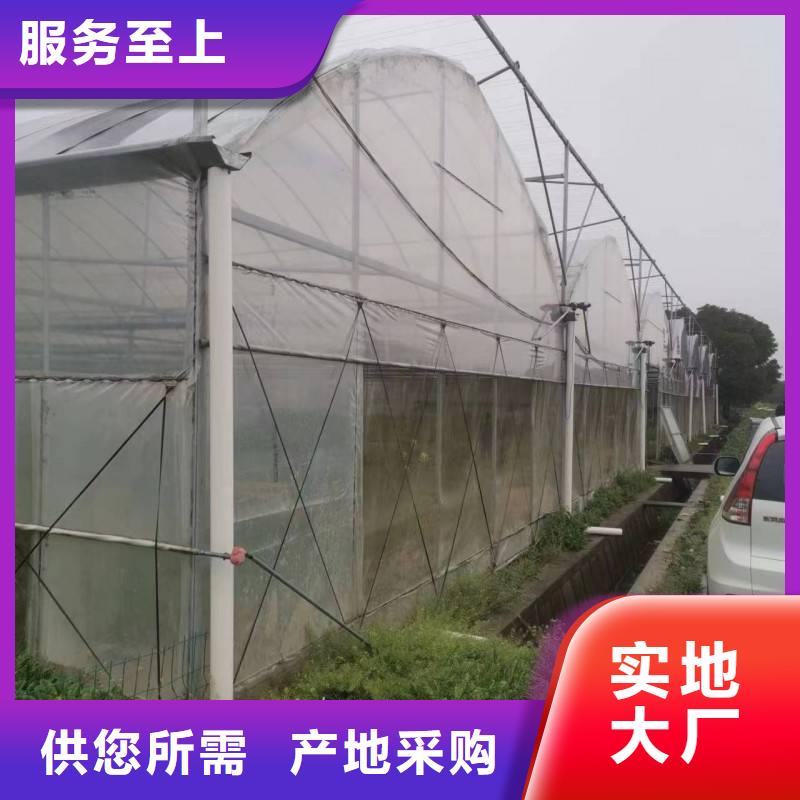 广东省广州番禺区GP8432连栋温室大棚按需定制