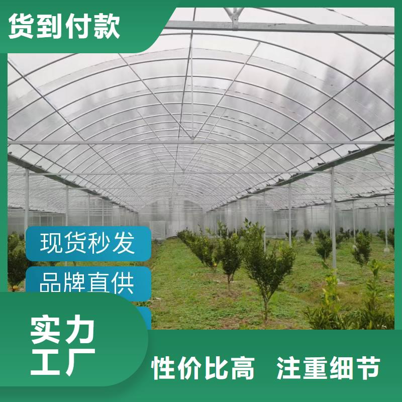 梁河县温室钢架大棚价格10年经验2024-8-28