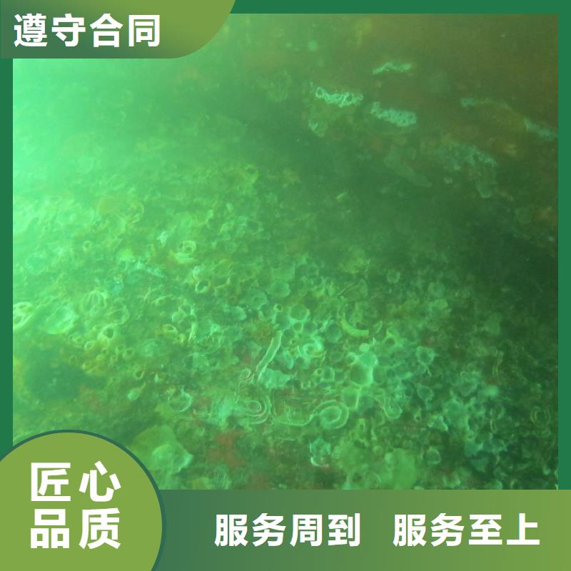 价格合理的水下探摸生产厂家