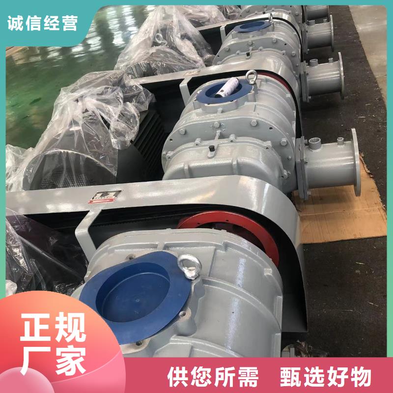 质量好洗煤专用罗茨风机LFSR150