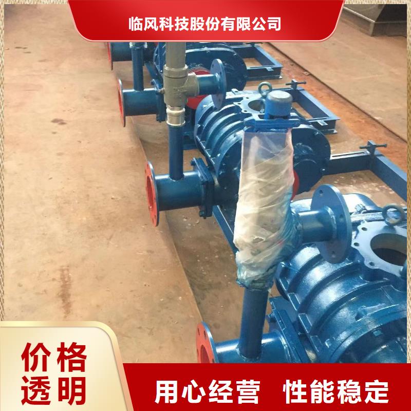 山東臨風科技股份羅茨鼓風機LFSR125