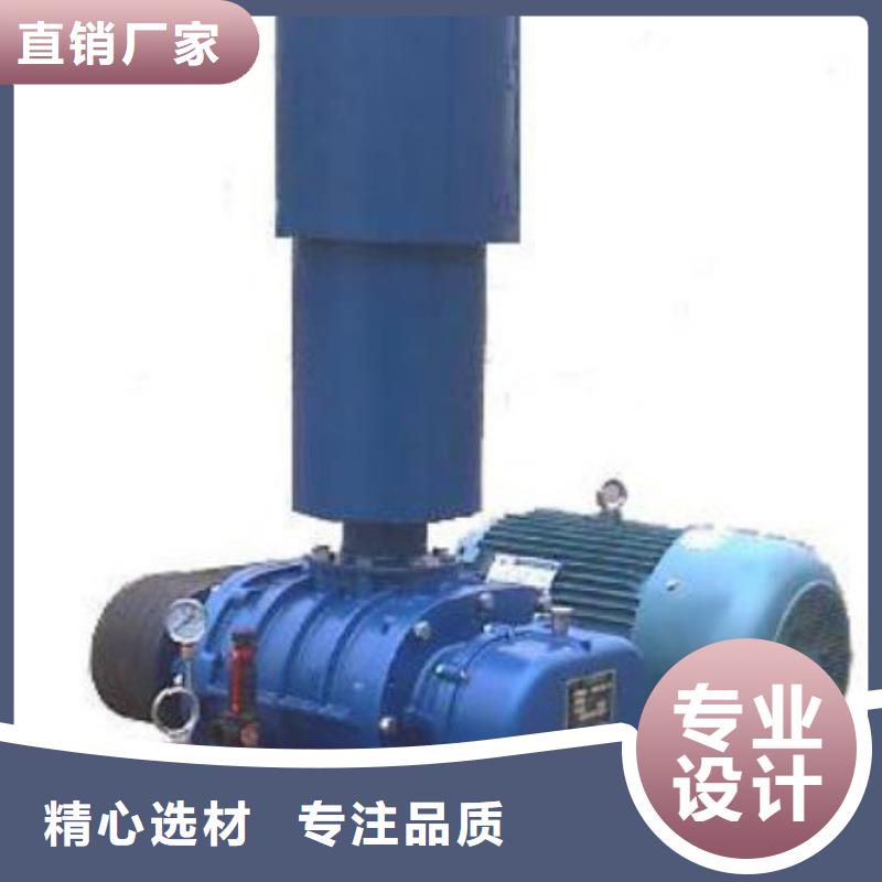 2023推荐洗煤专用罗茨风机LFSR150上海品质