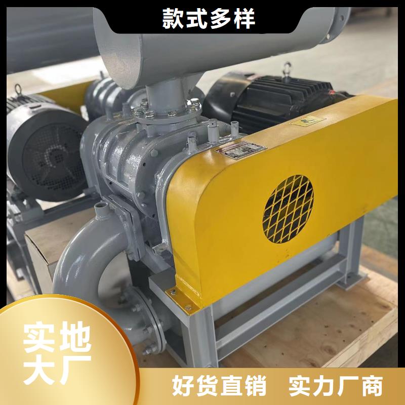 山東臨風科技股份兩葉羅茨風機LFSR80
