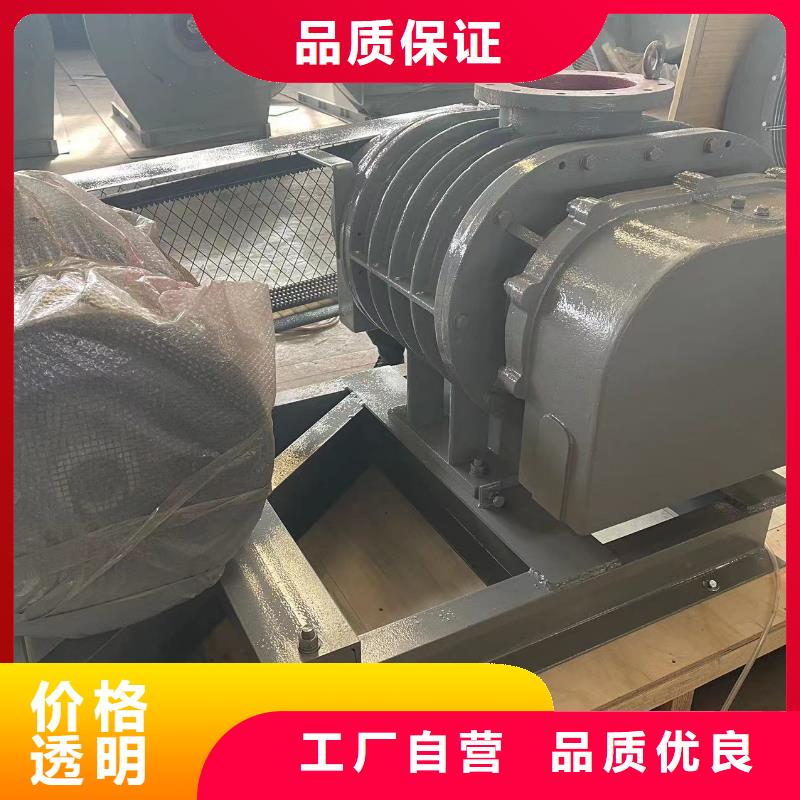 山东临风科技股份有限公司氧化风机LFSR125
