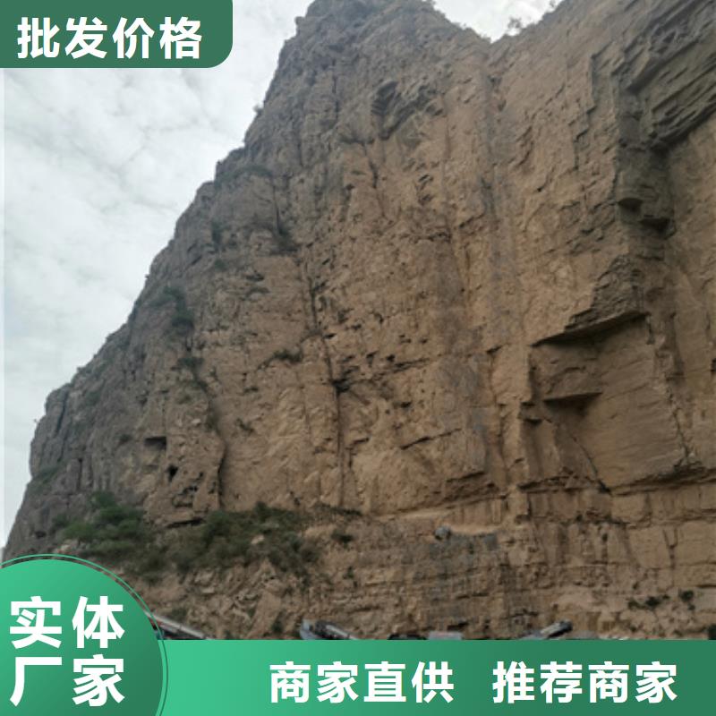 進口柴油發(fā)電機租賃低成本