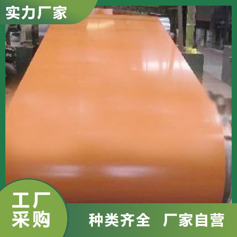 翊晟【 彩涂卷 耐指纹卷板服务周到】-汽车钢