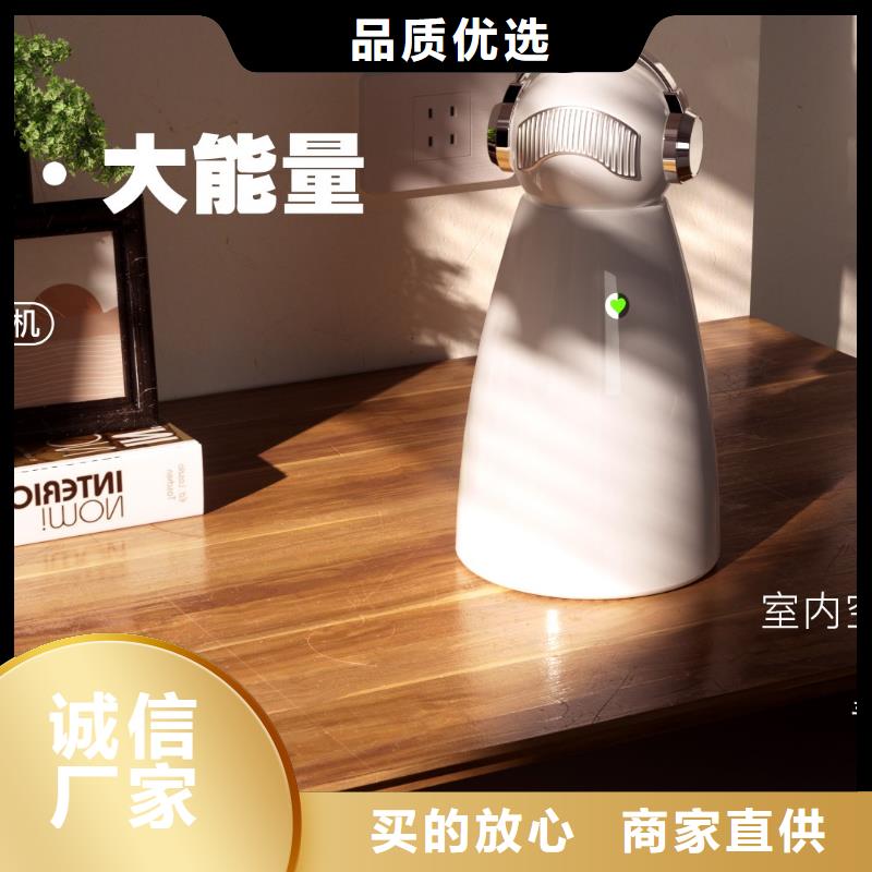 小白祛味王批发小白祛味王今日新品