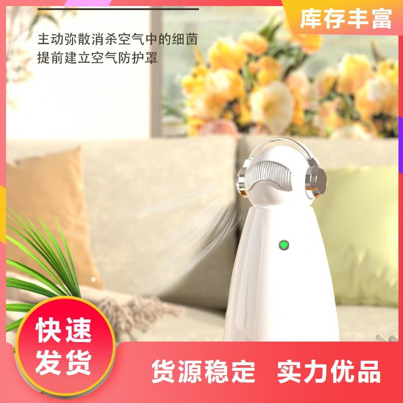 【深圳】解决异味的小能手多少钱一个小白空气守护机