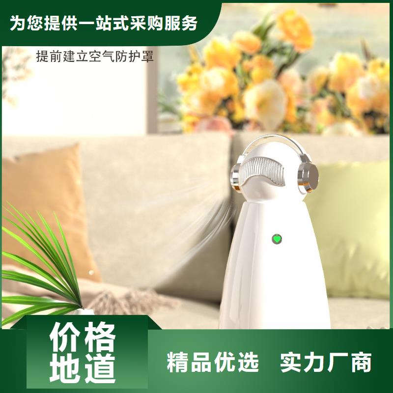 【深圳】家用室内空气净化器拿货价格小白祛味王