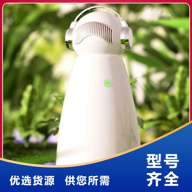 小白孕妇空气守护机智能空气净化器销售热线源厂直接供货