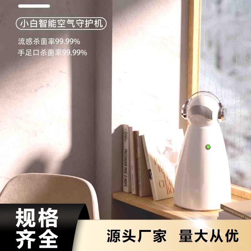 小白孕妇空气守护机无臭养宠一站式供应厂家