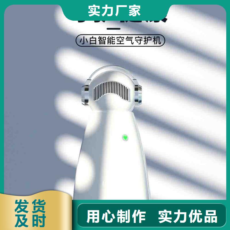 小白空气守护机小白祛味王服务周到
