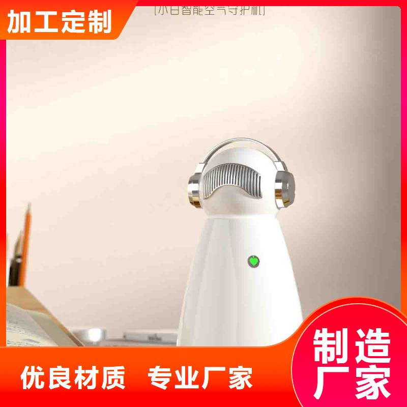 小白空气守护机车载空气净化器生产厂家用心制作