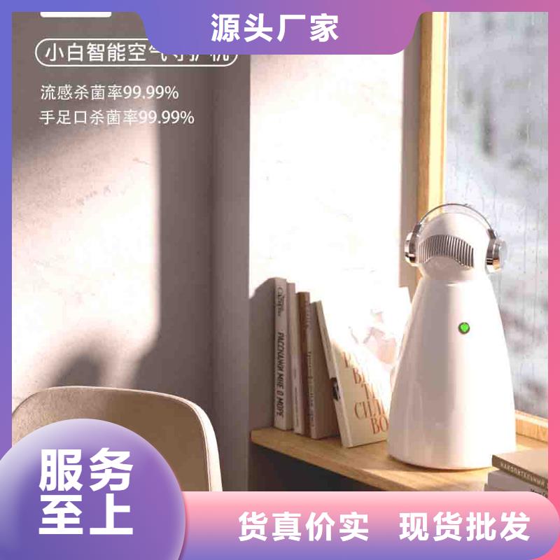 【小白空气守护机】小白祛味王销售来图加工定制
