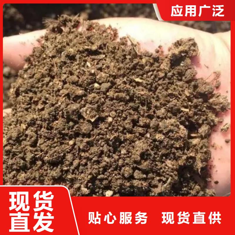 干鸡粪技术指导